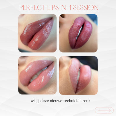 Perfect Lips in 1 Session PMU