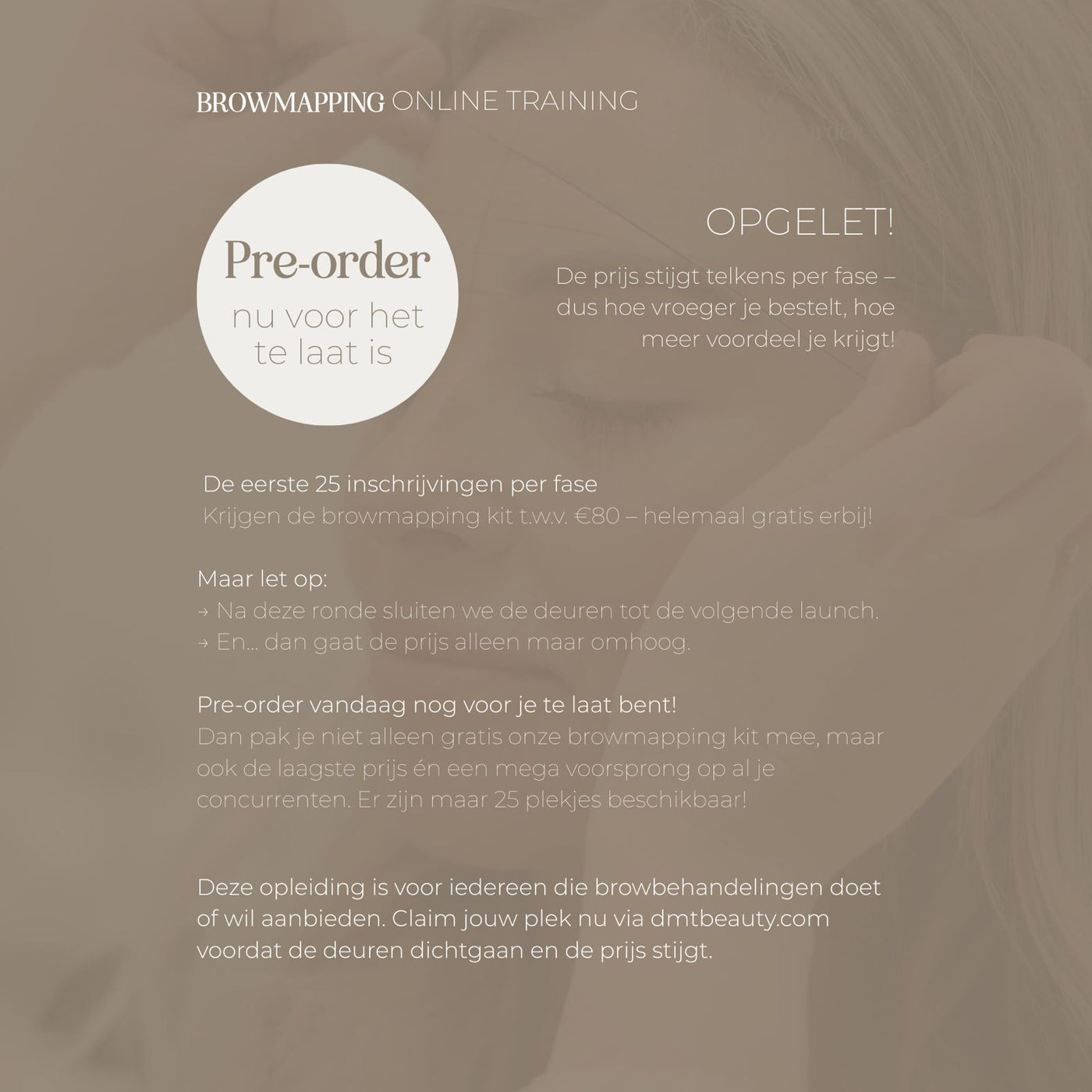 Online Browmapping Training (PRE-ORDER)